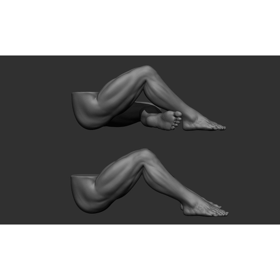 Male Leg Poses 3D Model – Realistic Anatomy Collection, ZTL & OBJ Formats - View 90