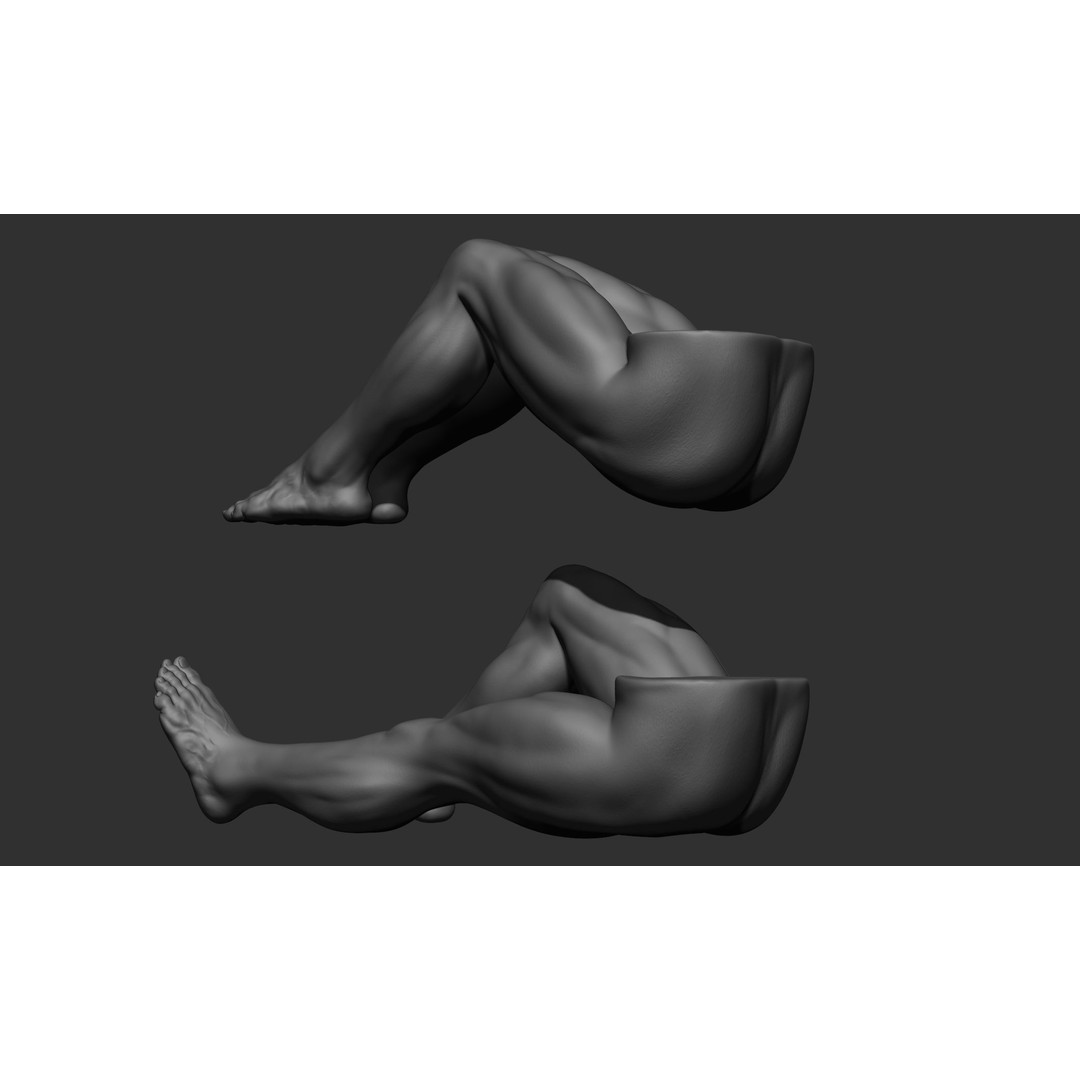 Male Leg Poses 3D Model – Realistic Anatomy Collection, ZTL & OBJ Formats - View 95