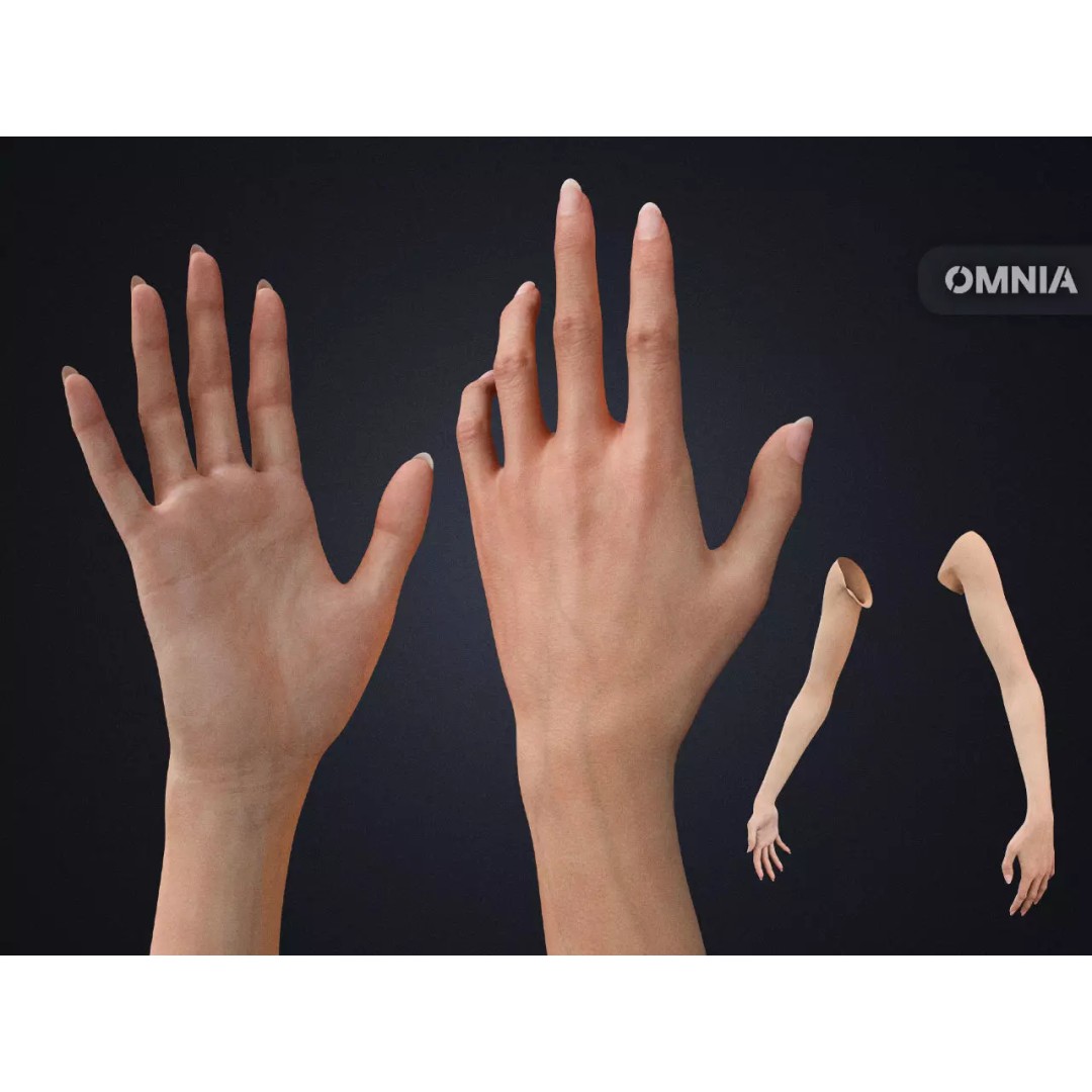 Realistic Female Arms 3D Model – Low-Poly Rigged Asset for Blender - View 2