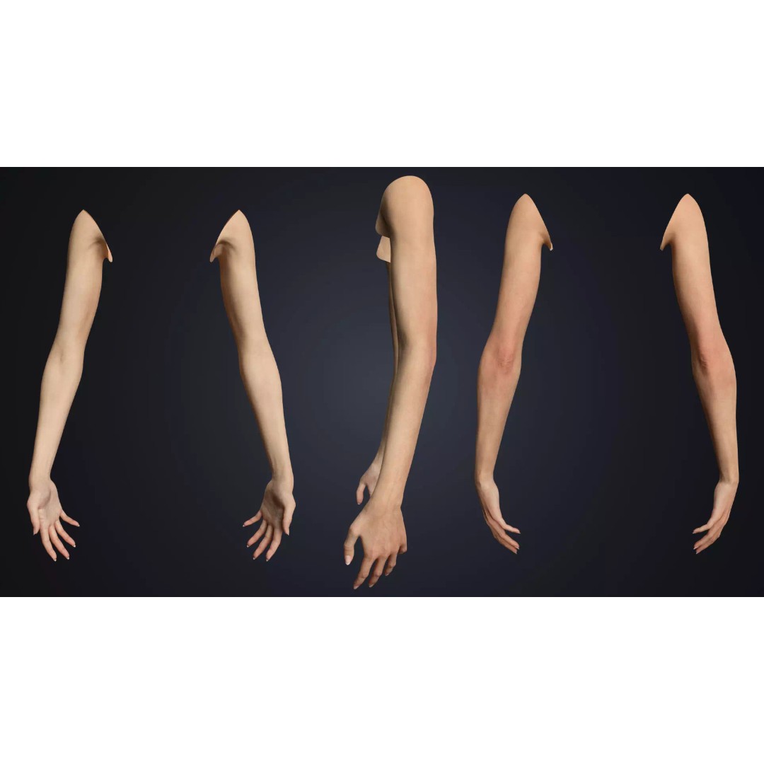 Realistic Female Arms 3D Model – Low-Poly Rigged Asset for Blender - View 3