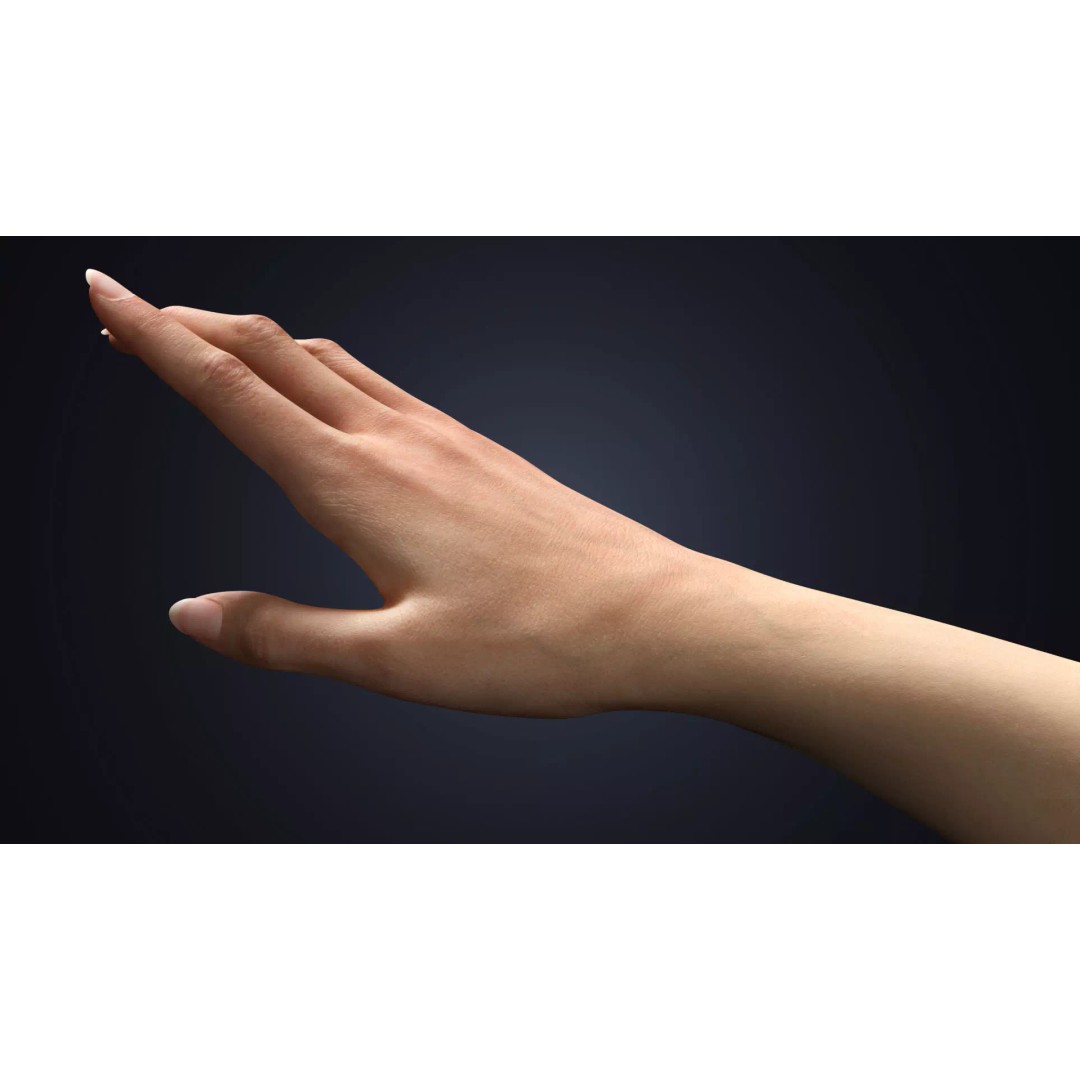 Realistic Female Arms 3D Model – Low-Poly Rigged Asset for Blender - View 6