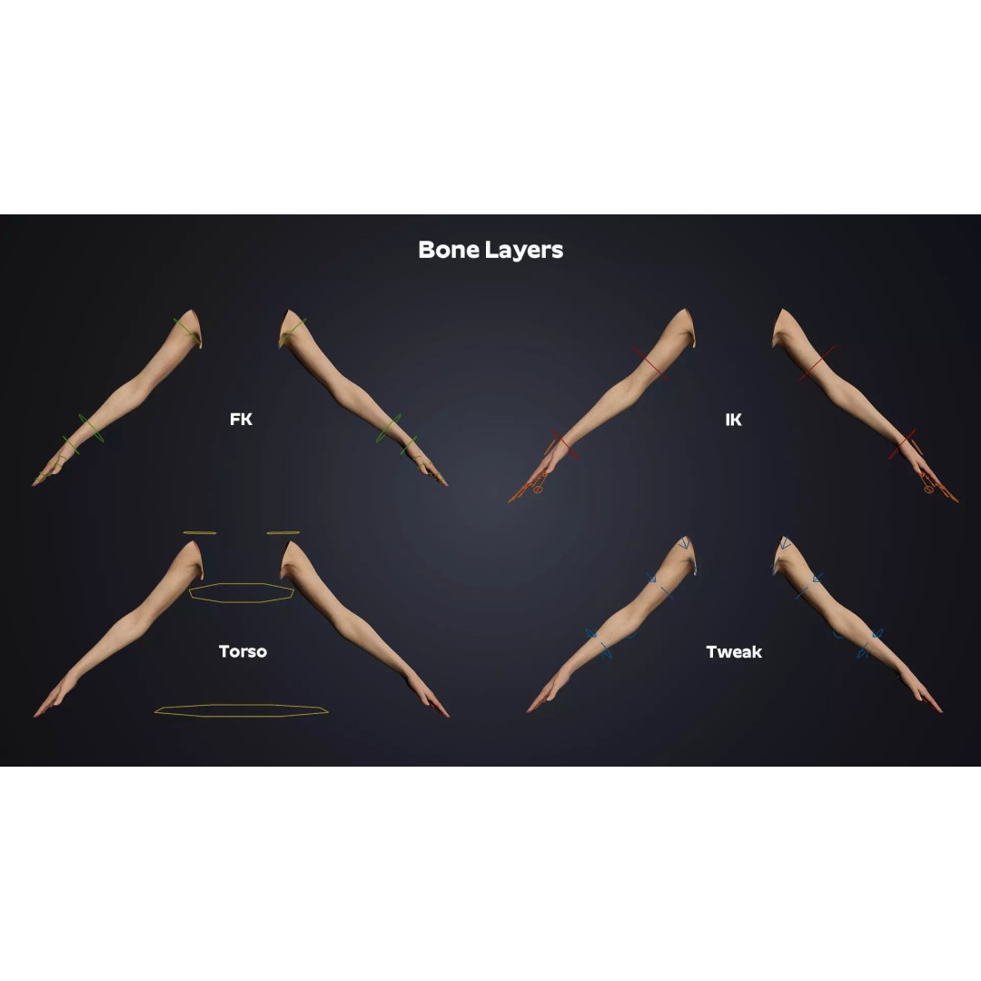 Realistic Female Arms 3D Model – Low-Poly Rigged Asset for Blender - View 7