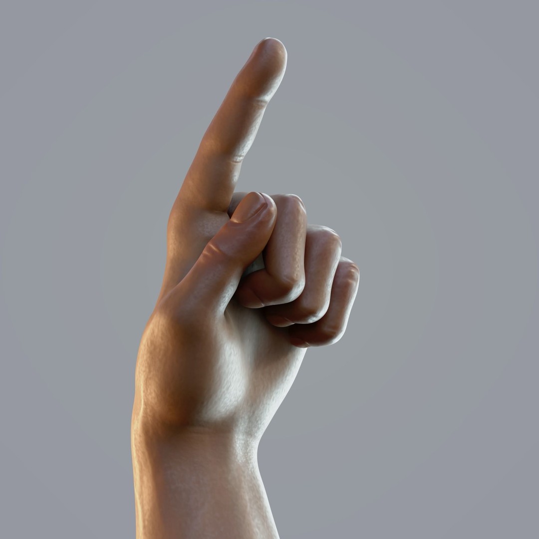 Realistic Male Hand Anatomy 3D Model – Rigged PBR Asset, FBX - View 10
