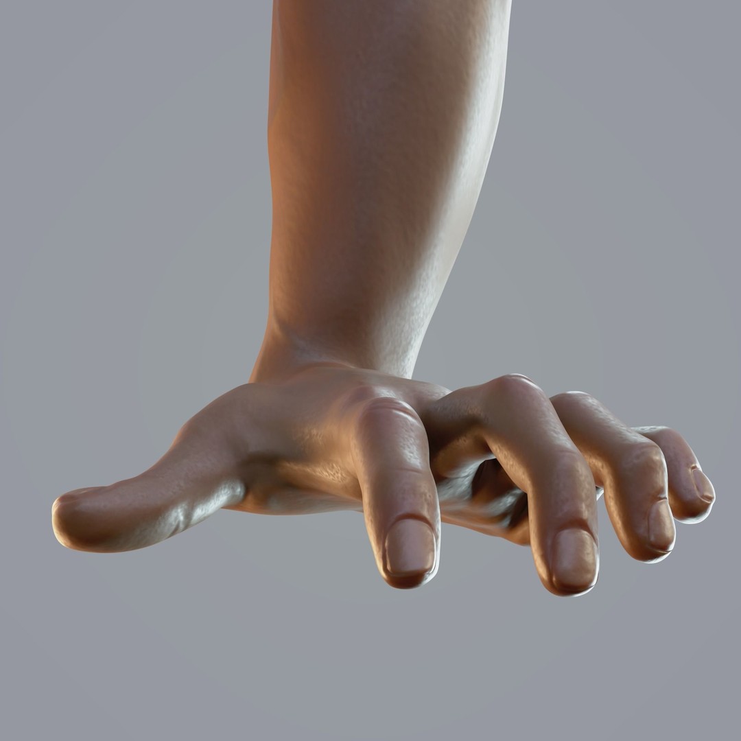 Realistic Male Hand Anatomy 3D Model – Rigged PBR Asset, FBX - View 15
