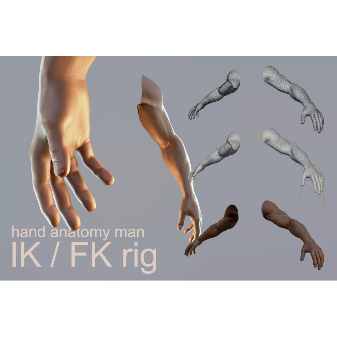 Realistic Male Hand Anatomy 3D Model – Rigged PBR Asset, FBX - View 2