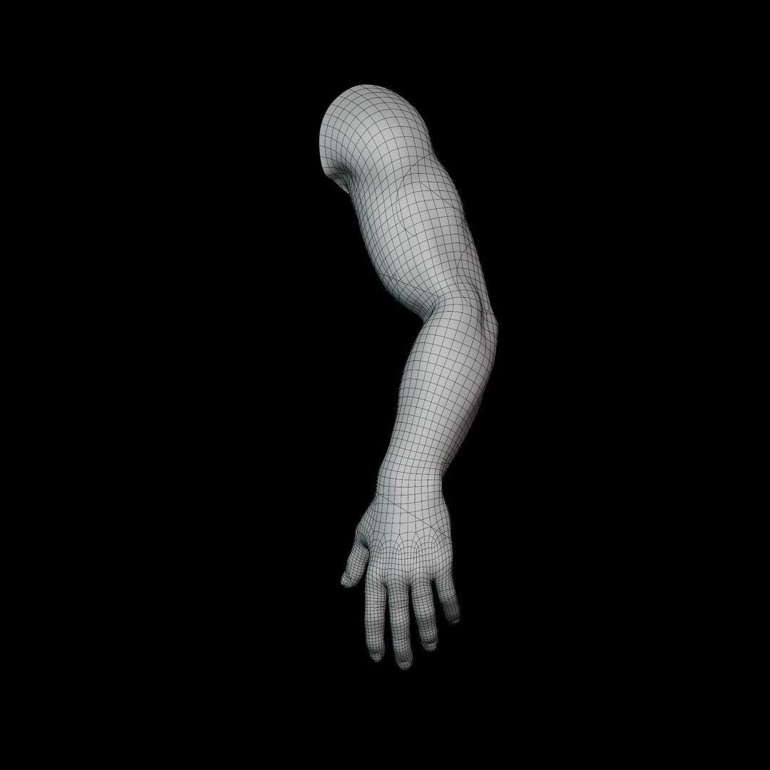 Realistic Male Hand Anatomy 3D Model – Rigged PBR Asset, FBX - View 23