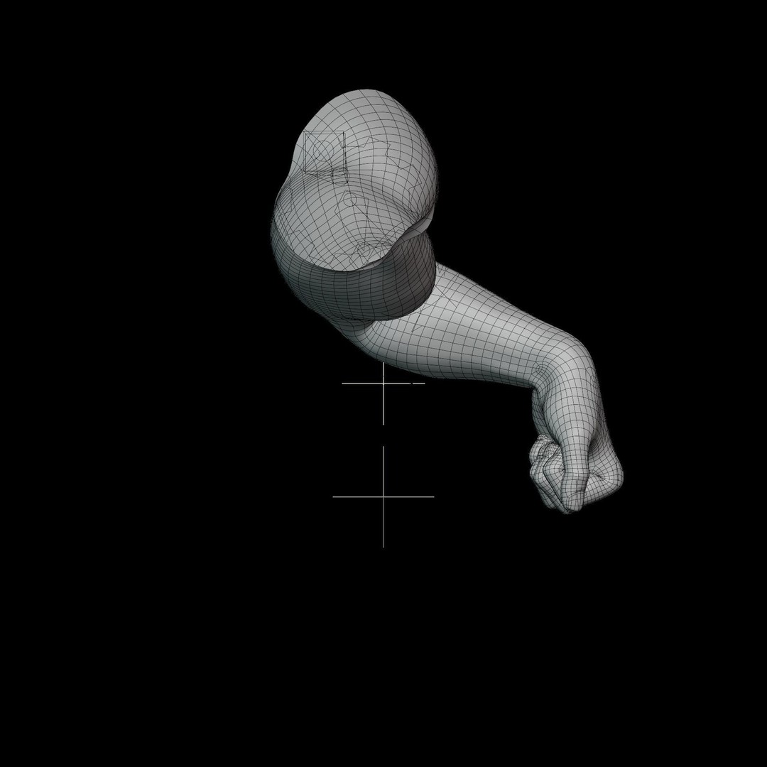 Realistic Male Hand Anatomy 3D Model – Rigged PBR Asset, FBX - View 24