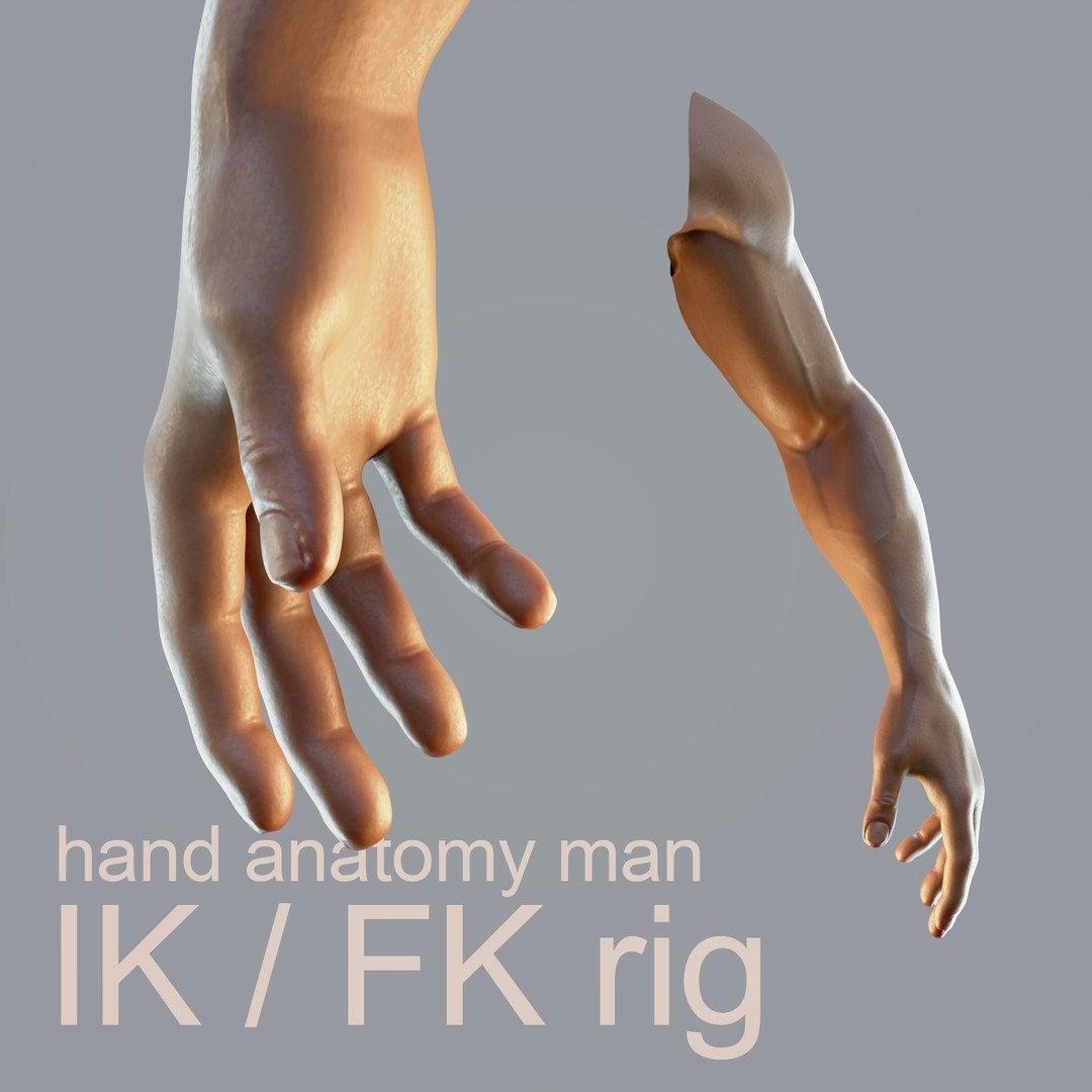 Realistic Male Hand Anatomy 3D Model – Rigged PBR Asset, FBX - View 3