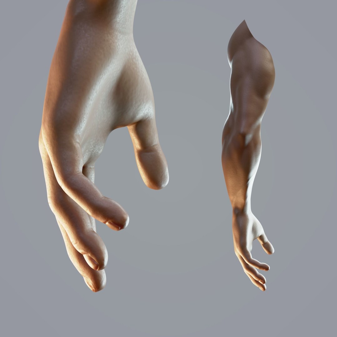 Realistic Male Hand Anatomy 3D Model – Rigged PBR Asset, FBX - View 5