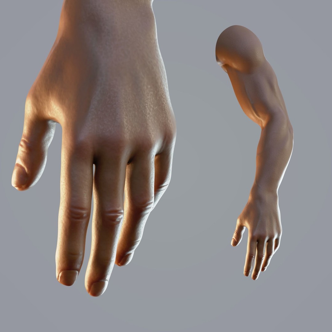 Realistic Male Hand Anatomy 3D Model – Rigged PBR Asset, FBX - View 6