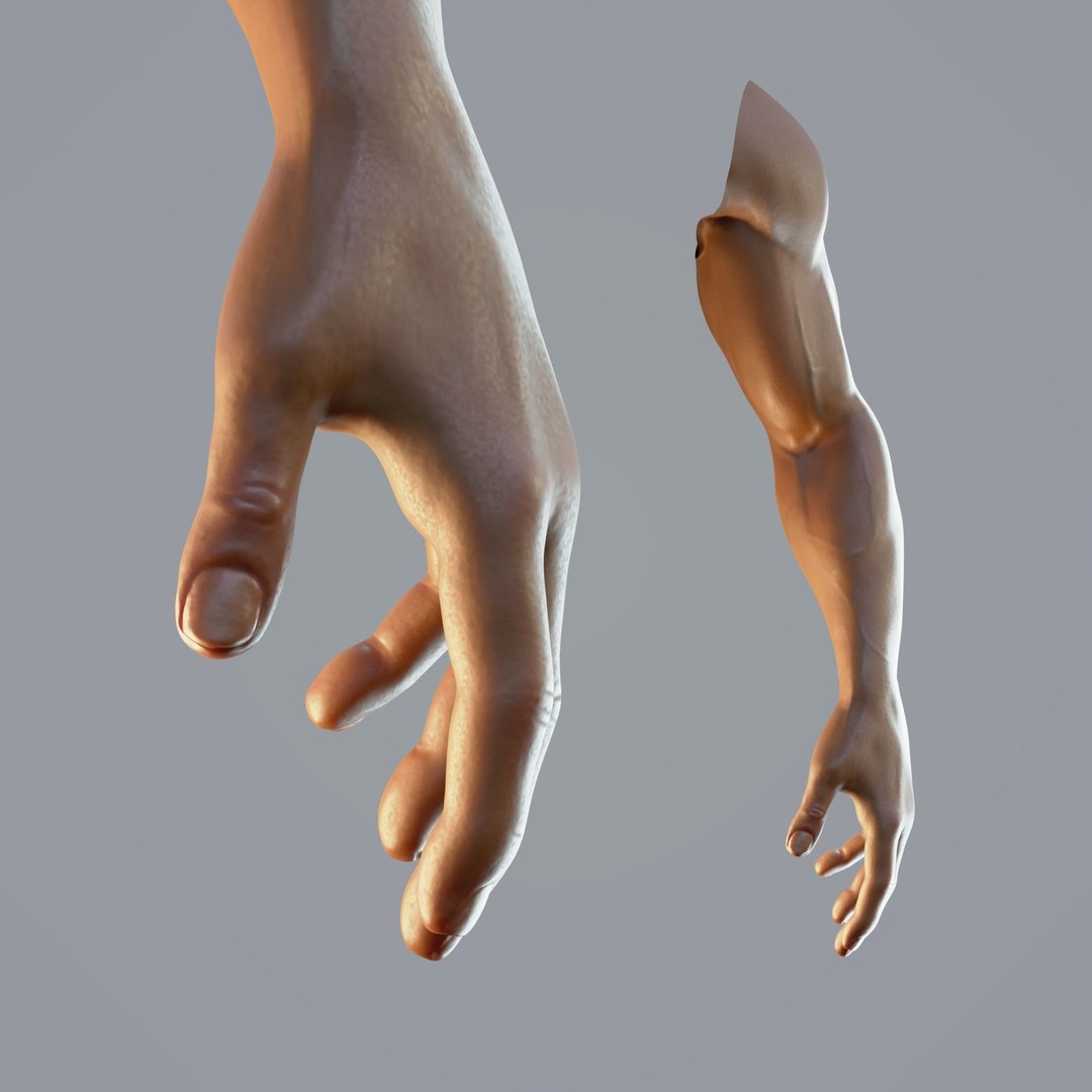 Realistic Male Hand Anatomy 3D Model – Rigged PBR Asset, FBX - View 7