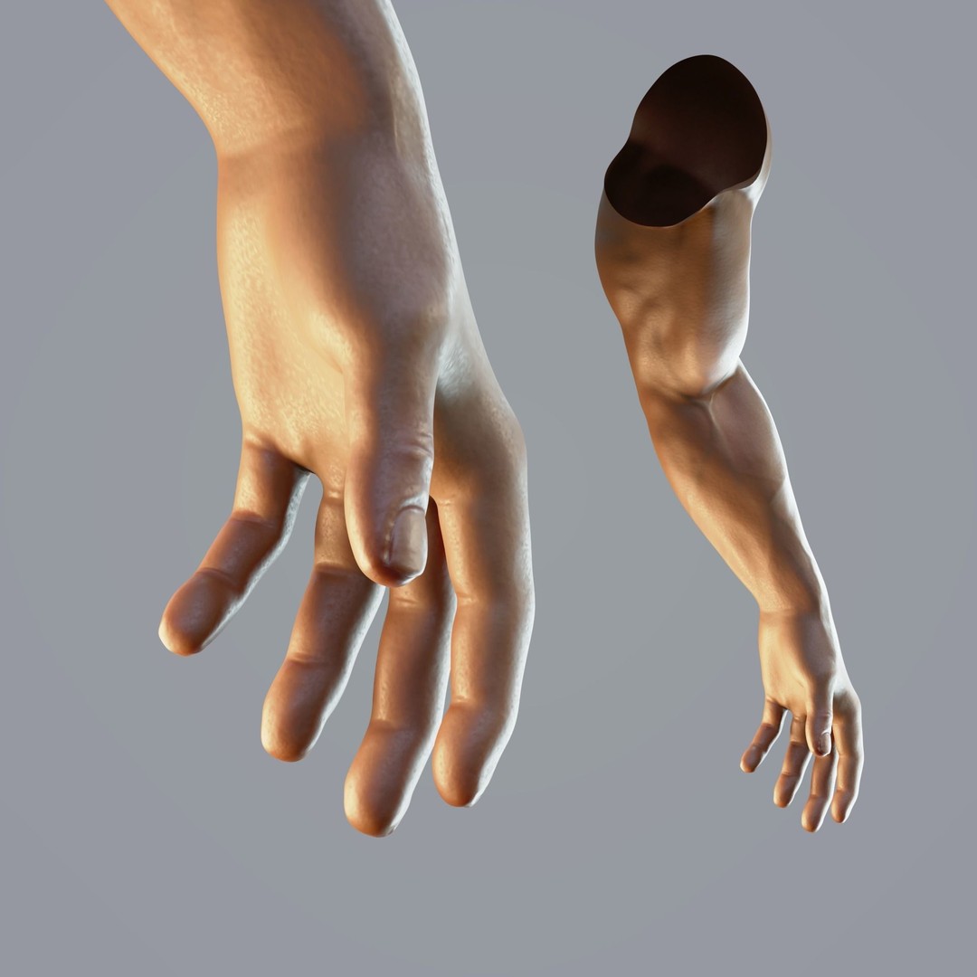 Realistic Male Hand Anatomy 3D Model – Rigged PBR Asset, FBX - View 8