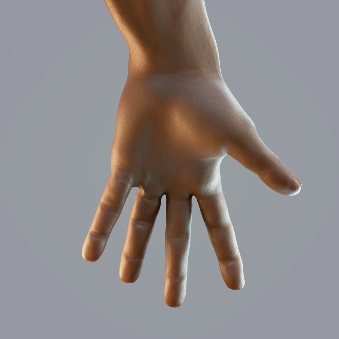 Realistic Male Hand Anatomy 3D Model – Rigged PBR Asset, FBX - View 9