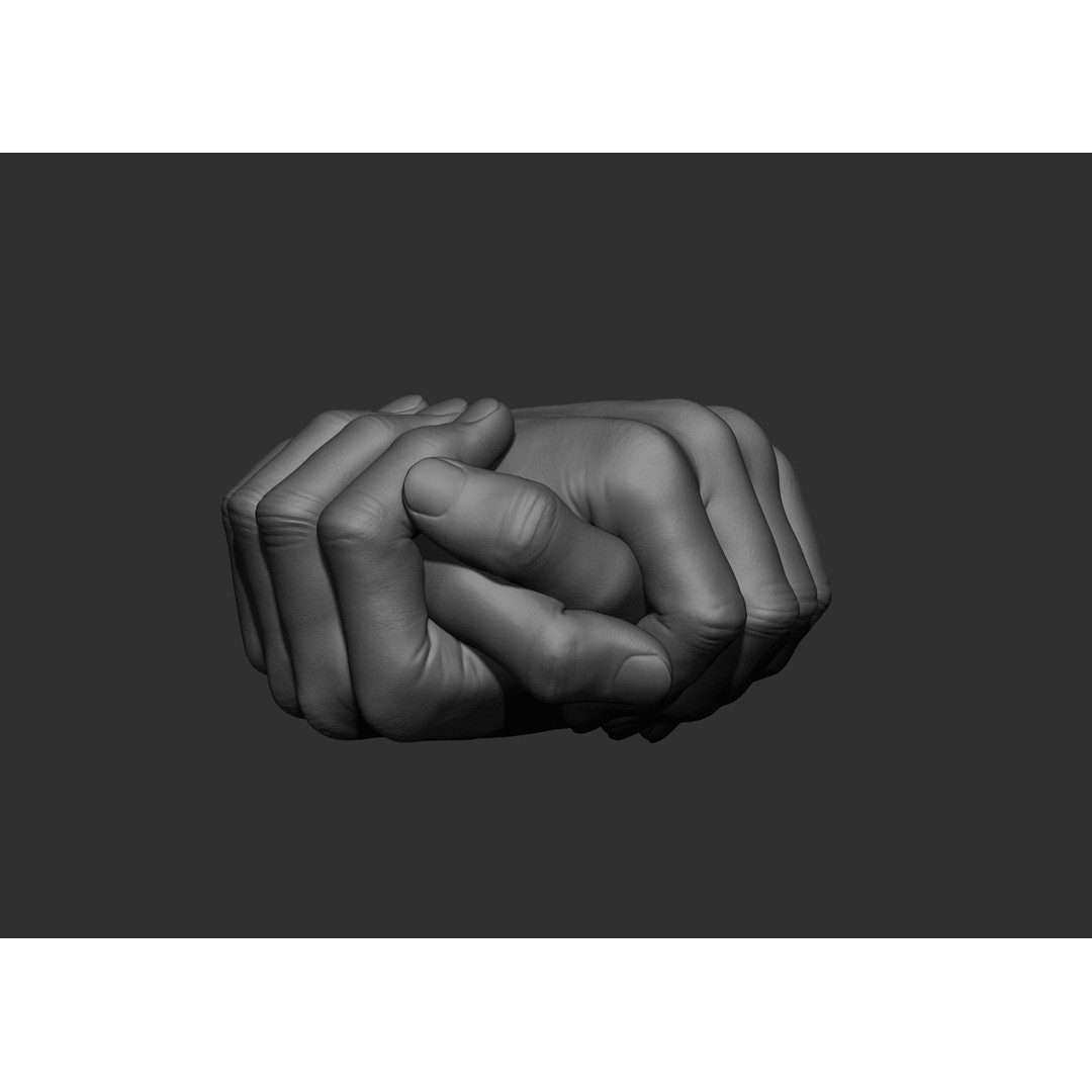 Realistic Male Hand Poses 3D Model – High Poly ZBrush Sculpt, FBX, OBJ - View 10