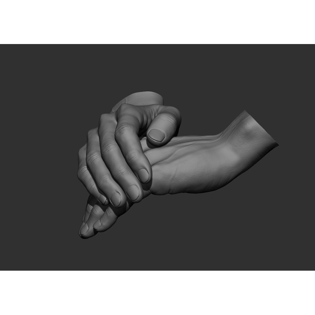 Realistic Male Hand Poses 3D Model – High Poly ZBrush Sculpt, FBX, OBJ - View 11