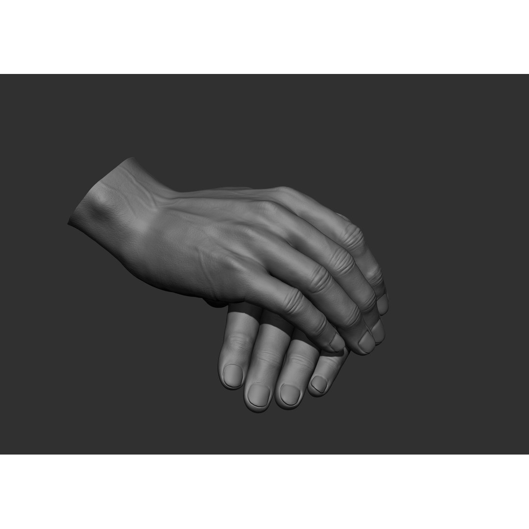 Realistic Male Hand Poses 3D Model – High Poly ZBrush Sculpt, FBX, OBJ - View 12