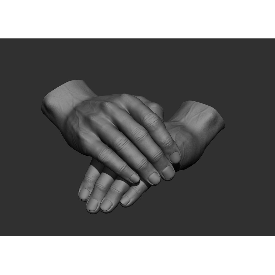 Realistic Male Hand Poses 3D Model – High Poly ZBrush Sculpt, FBX, OBJ - View 13