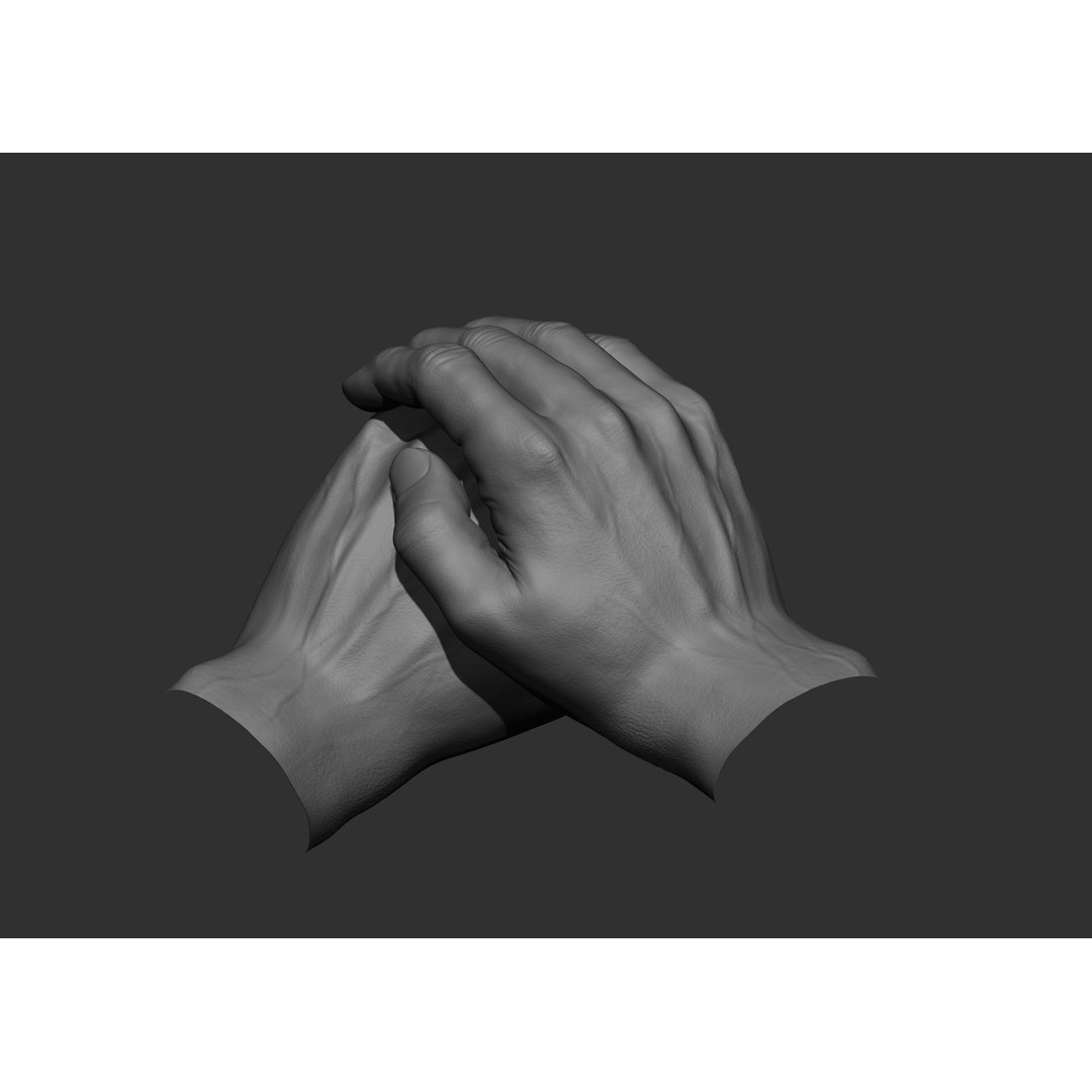 Realistic Male Hand Poses 3D Model – High Poly ZBrush Sculpt, FBX, OBJ - View 14