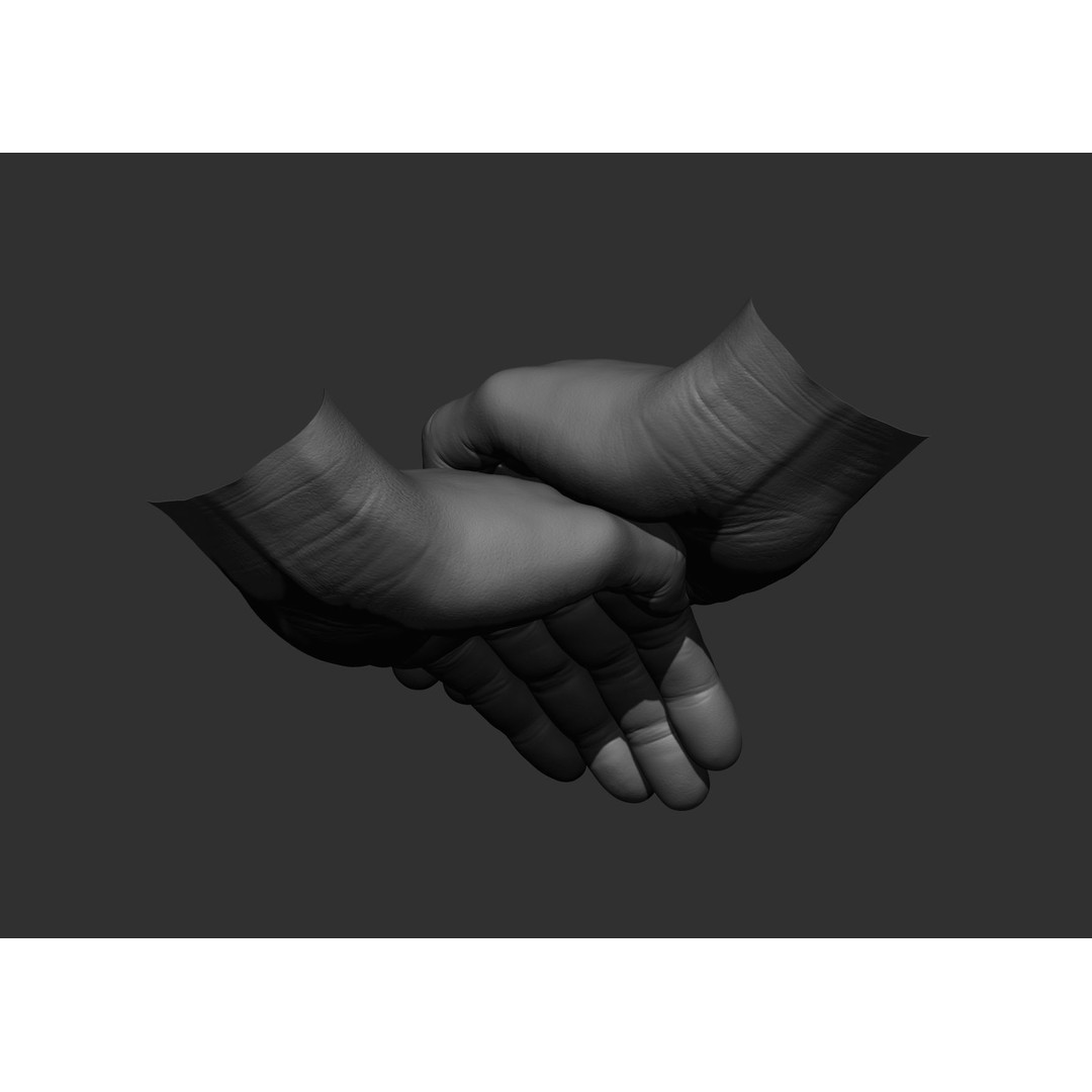 Realistic Male Hand Poses 3D Model – High Poly ZBrush Sculpt, FBX, OBJ - View 15