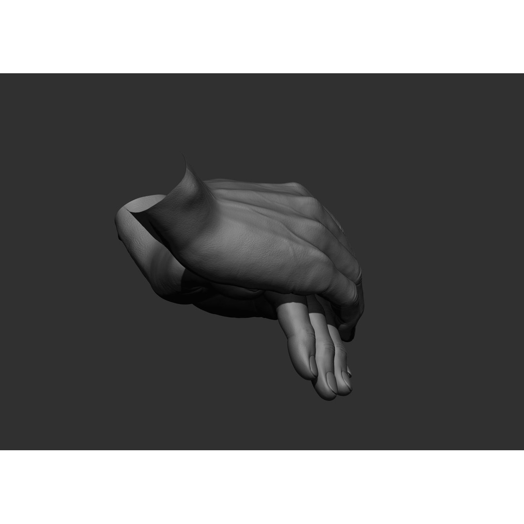 Realistic Male Hand Poses 3D Model – High Poly ZBrush Sculpt, FBX, OBJ - View 16