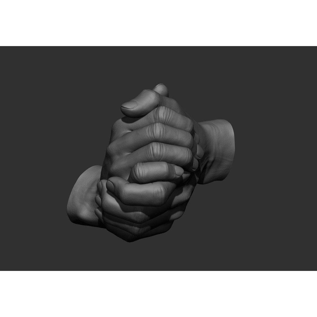 Realistic Male Hand Poses 3D Model – High Poly ZBrush Sculpt, FBX, OBJ - View 17