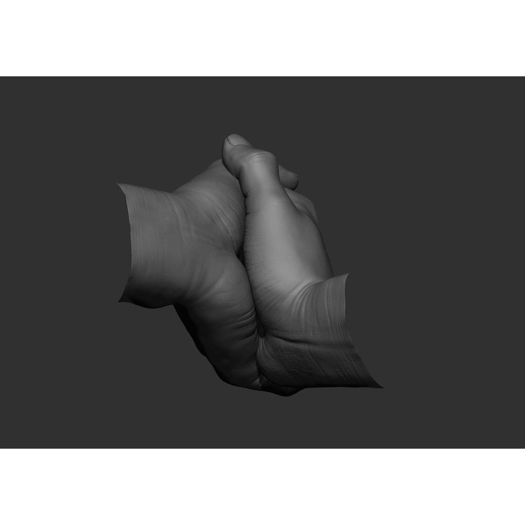 Realistic Male Hand Poses 3D Model – High Poly ZBrush Sculpt, FBX, OBJ - View 18