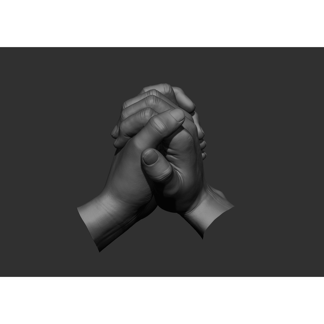 Realistic Male Hand Poses 3D Model – High Poly ZBrush Sculpt, FBX, OBJ - View 19