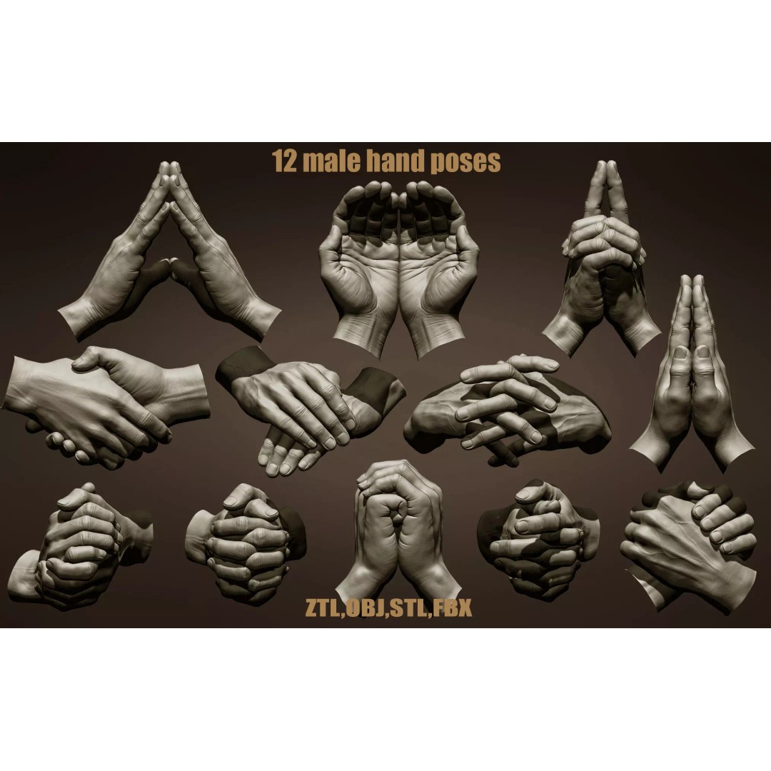 Realistic Male Hand Poses 3D Model – High Poly ZBrush Sculpt, FBX, OBJ - View 2