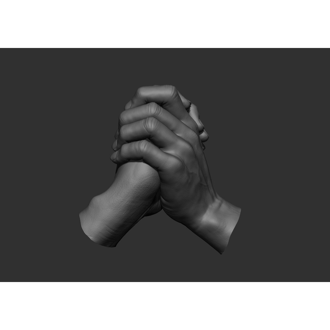 Realistic Male Hand Poses 3D Model – High Poly ZBrush Sculpt, FBX, OBJ - View 20