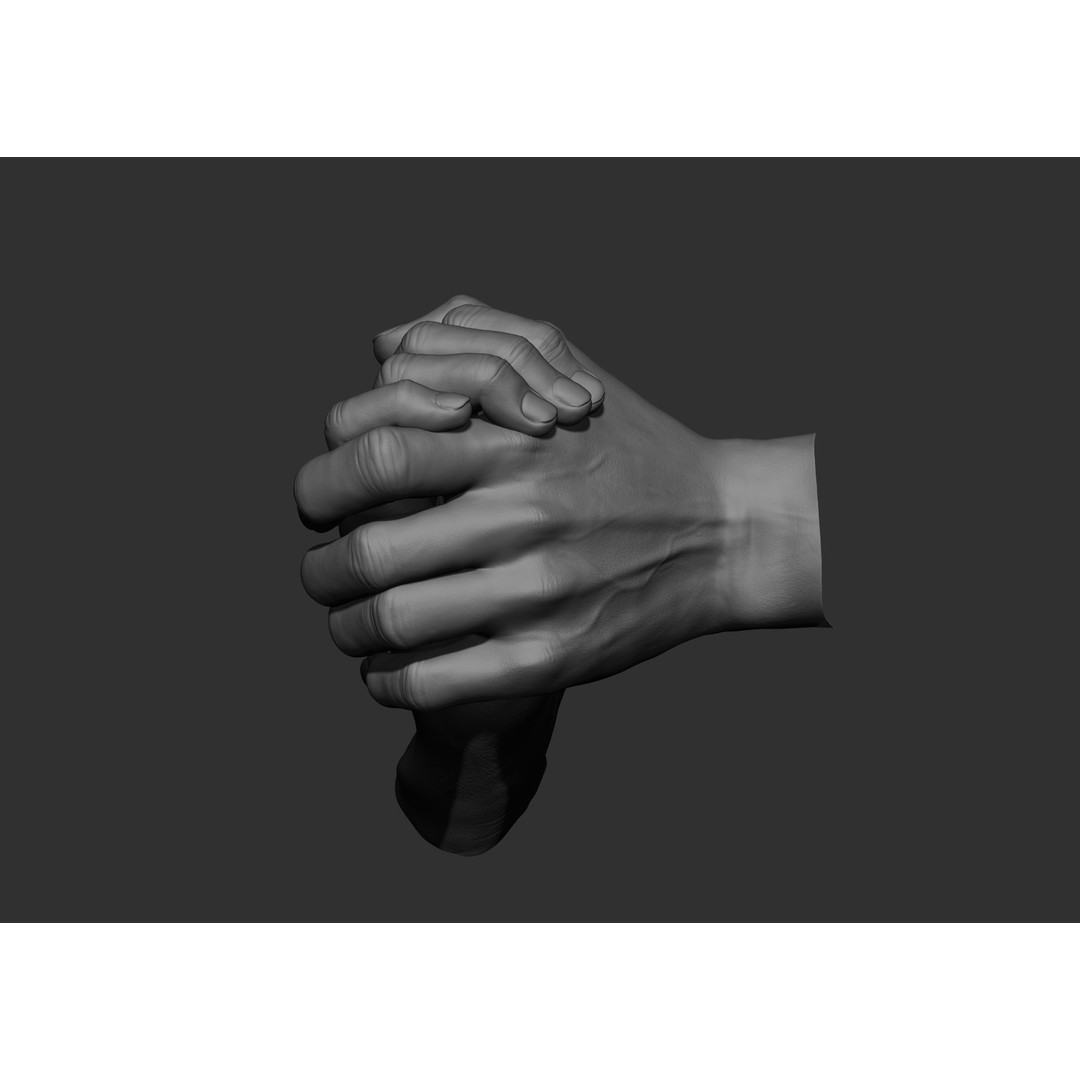 Realistic Male Hand Poses 3D Model – High Poly ZBrush Sculpt, FBX, OBJ - View 21