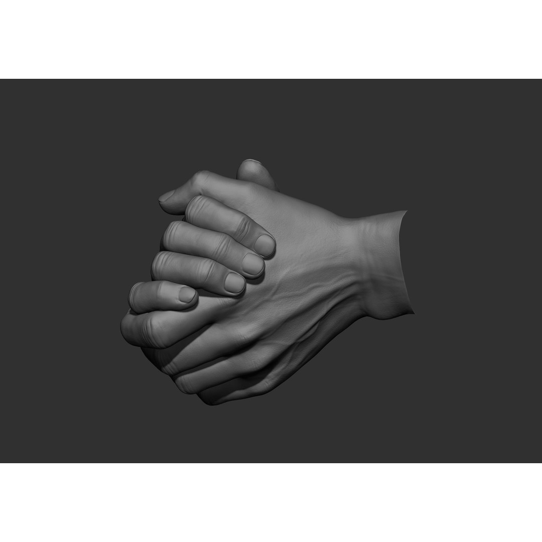Realistic Male Hand Poses 3D Model – High Poly ZBrush Sculpt, FBX, OBJ - View 22