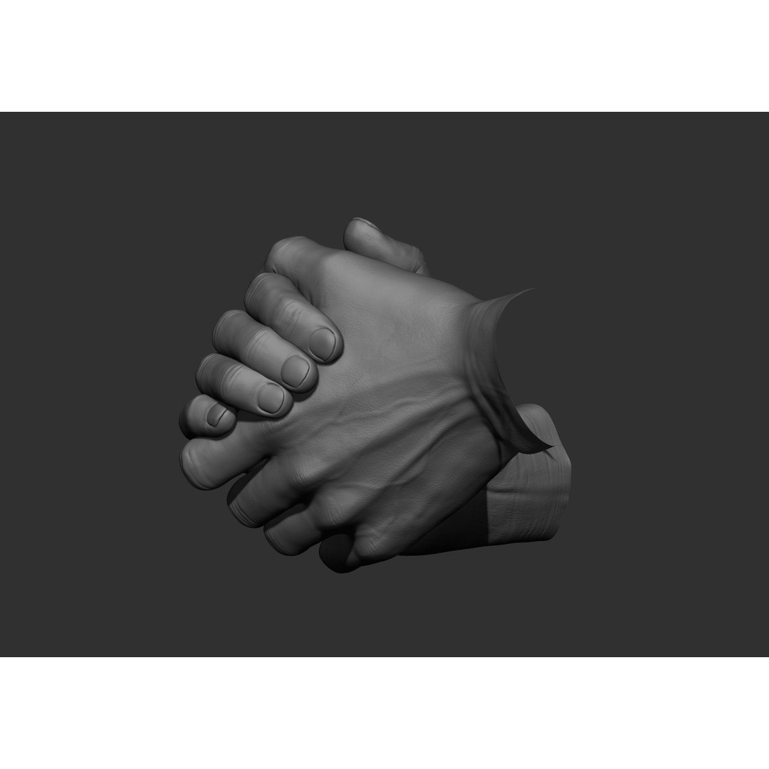 Realistic Male Hand Poses 3D Model – High Poly ZBrush Sculpt, FBX, OBJ - View 23