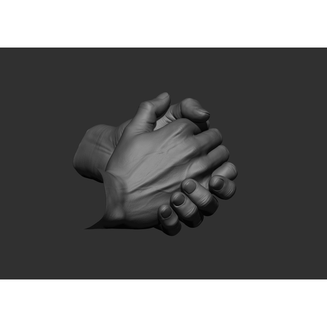 Realistic Male Hand Poses 3D Model – High Poly ZBrush Sculpt, FBX, OBJ - View 24