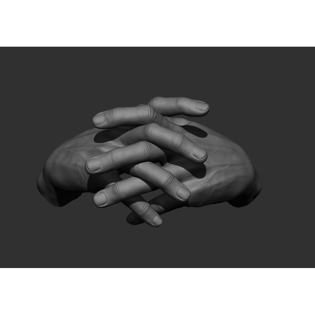 Realistic Male Hand Poses 3D Model – High Poly ZBrush Sculpt, FBX, OBJ - View 25