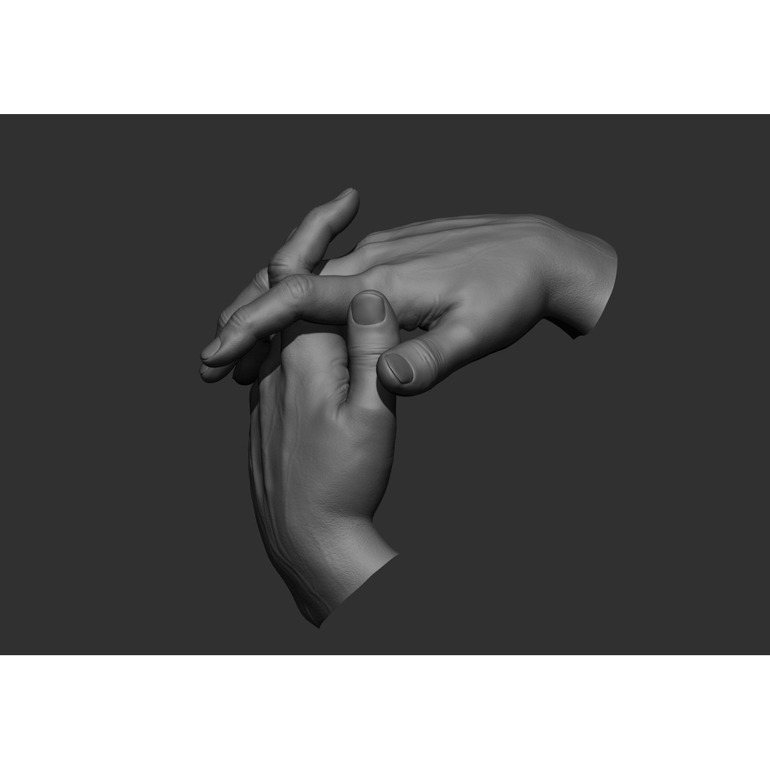 Realistic Male Hand Poses 3D Model – High Poly ZBrush Sculpt, FBX, OBJ - View 26