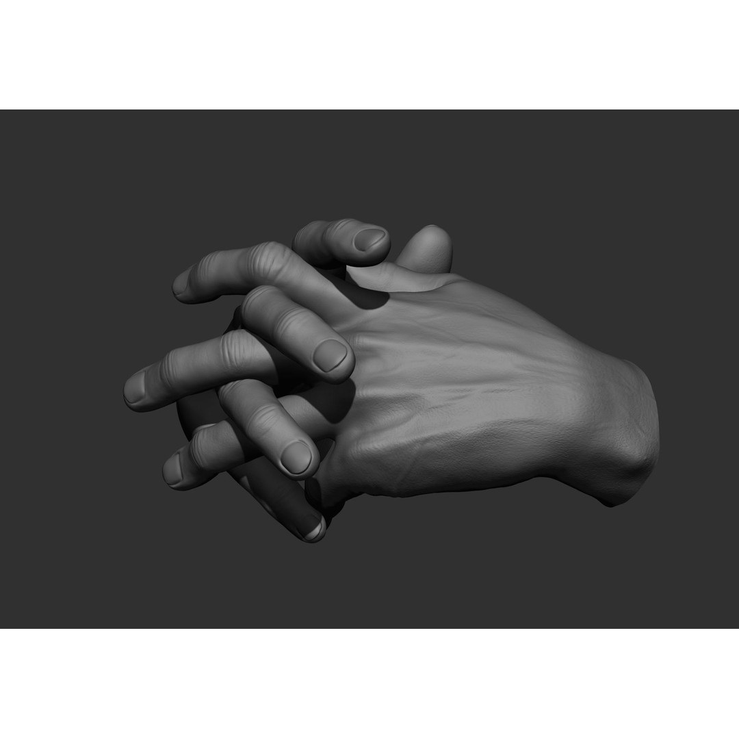 Realistic Male Hand Poses 3D Model – High Poly ZBrush Sculpt, FBX, OBJ - View 27
