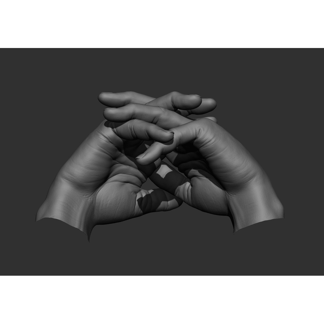 Realistic Male Hand Poses 3D Model – High Poly ZBrush Sculpt, FBX, OBJ - View 28