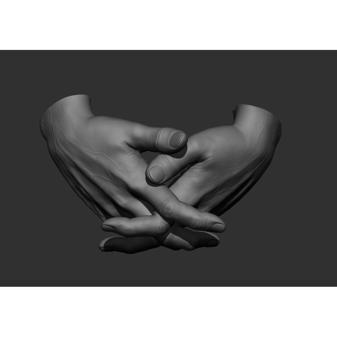Realistic Male Hand Poses 3D Model – High Poly ZBrush Sculpt, FBX, OBJ - View 29
