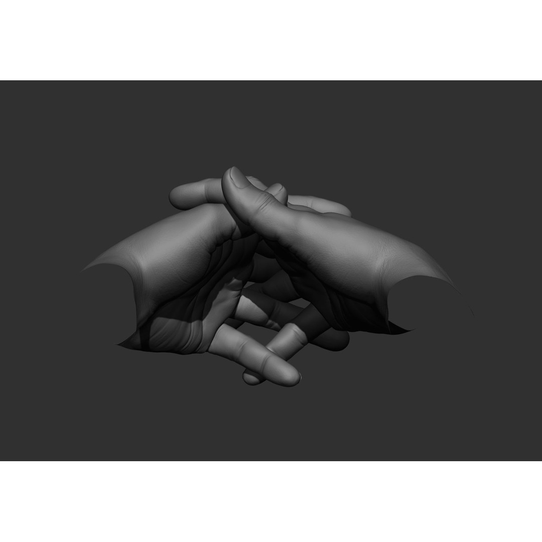 Realistic Male Hand Poses 3D Model – High Poly ZBrush Sculpt, FBX, OBJ - View 30