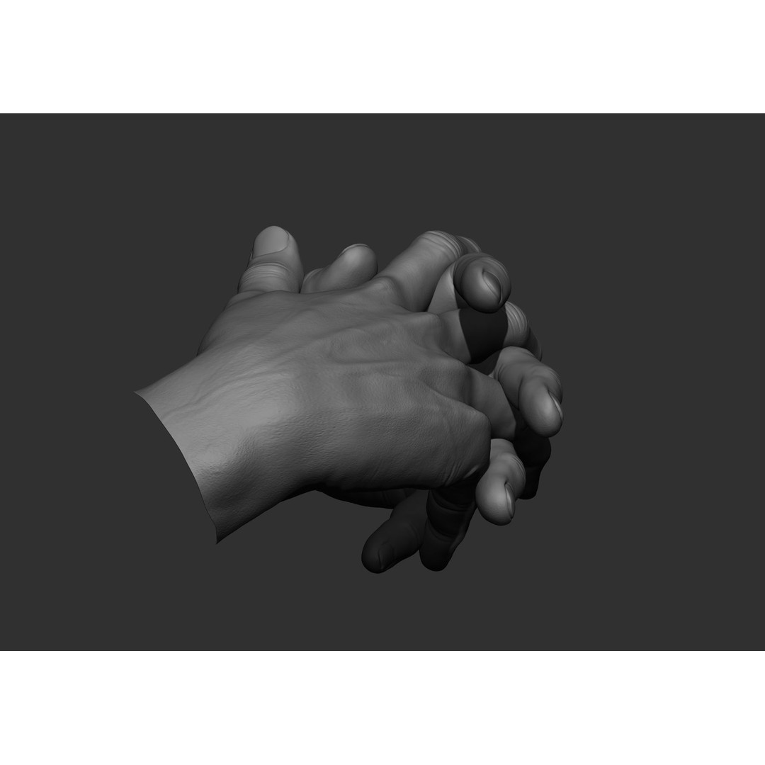 Realistic Male Hand Poses 3D Model – High Poly ZBrush Sculpt, FBX, OBJ - View 31