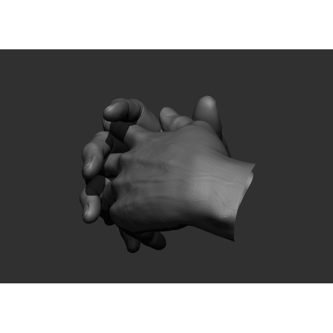 Realistic Male Hand Poses 3D Model – High Poly ZBrush Sculpt, FBX, OBJ - View 32