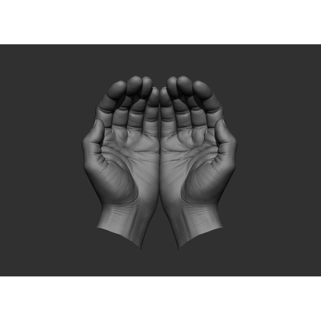 Realistic Male Hand Poses 3D Model – High Poly ZBrush Sculpt, FBX, OBJ - View 33