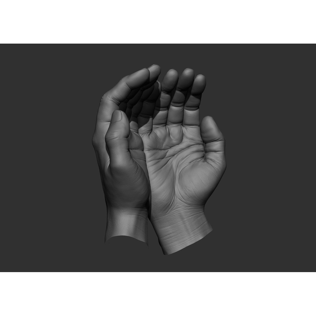 Realistic Male Hand Poses 3D Model – High Poly ZBrush Sculpt, FBX, OBJ - View 34