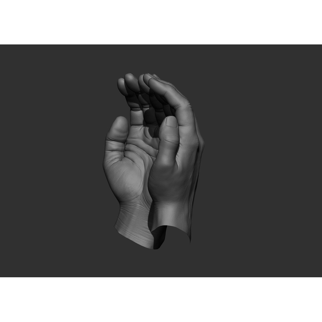 Realistic Male Hand Poses 3D Model – High Poly ZBrush Sculpt, FBX, OBJ - View 35
