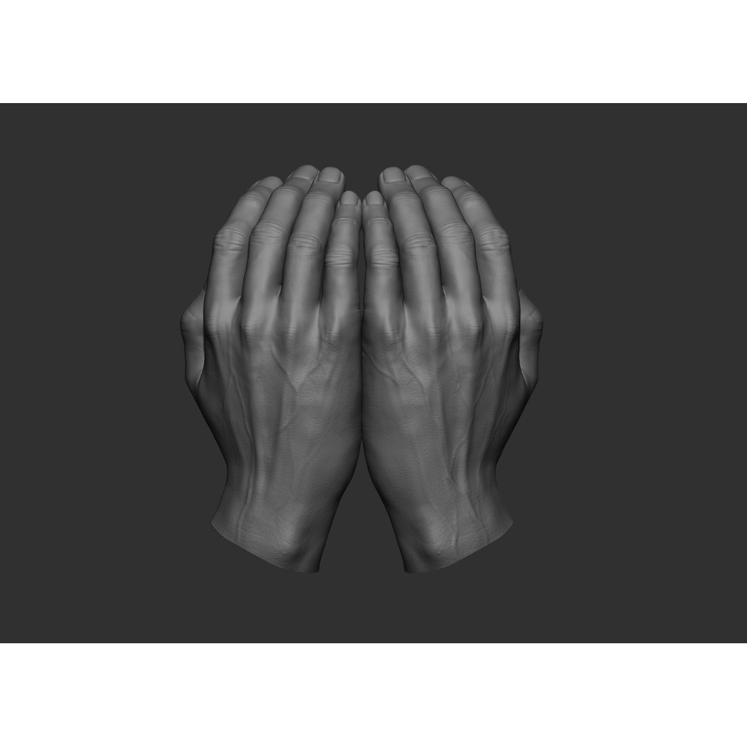 Realistic Male Hand Poses 3D Model – High Poly ZBrush Sculpt, FBX, OBJ - View 36