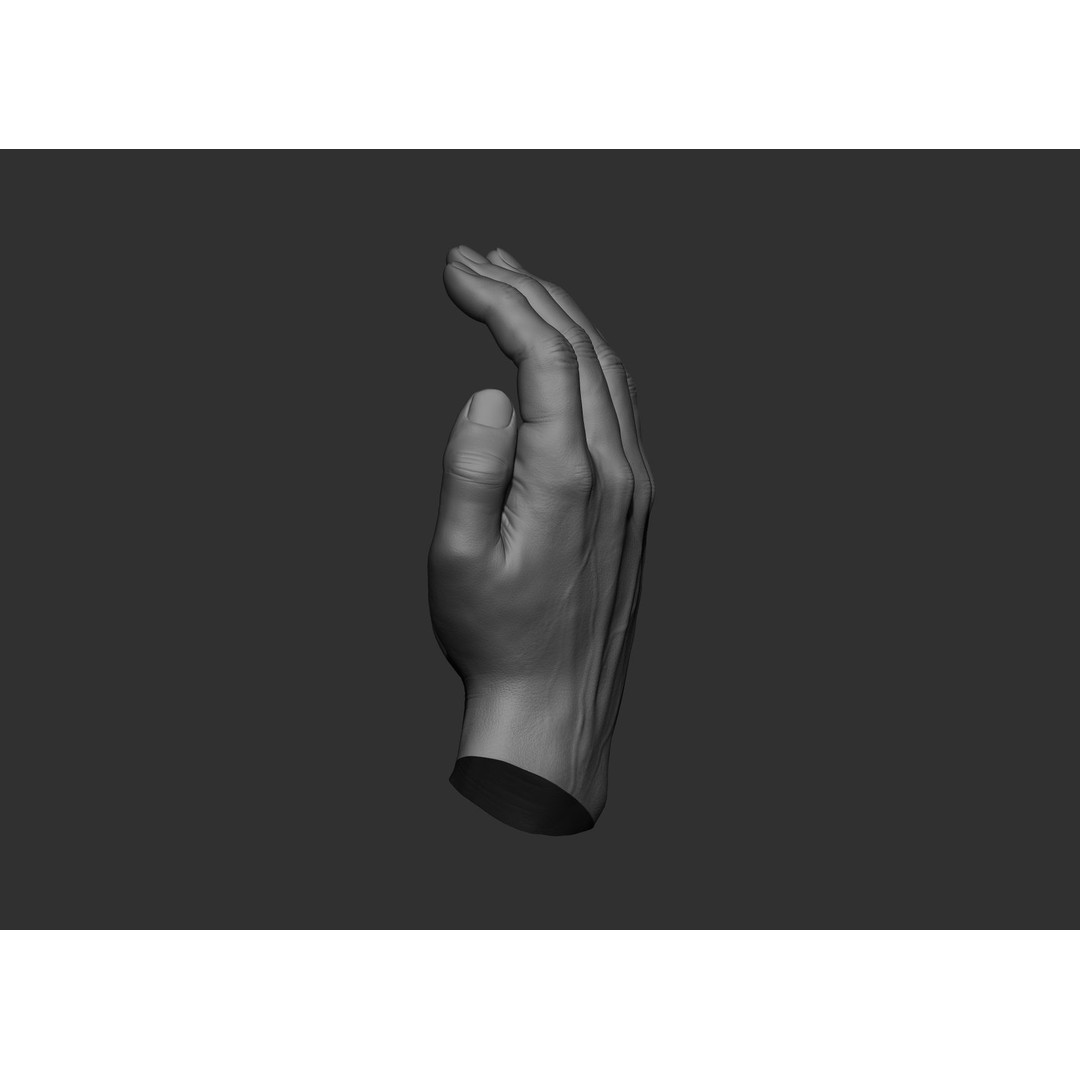 Realistic Male Hand Poses 3D Model – High Poly ZBrush Sculpt, FBX, OBJ - View 37