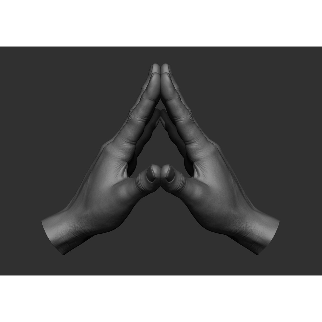 Realistic Male Hand Poses 3D Model – High Poly ZBrush Sculpt, FBX, OBJ - View 38