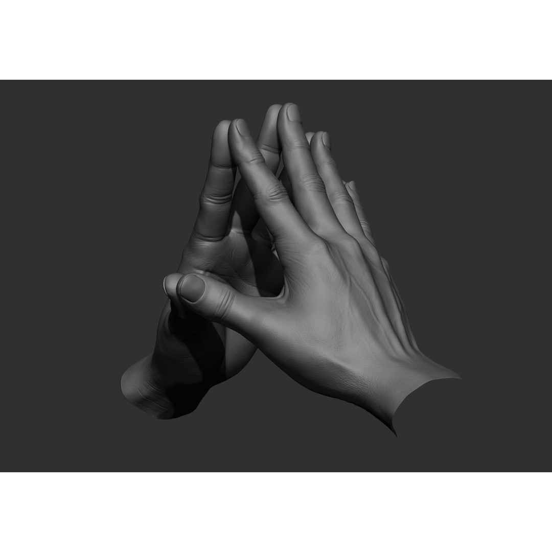 Realistic Male Hand Poses 3D Model – High Poly ZBrush Sculpt, FBX, OBJ - View 39