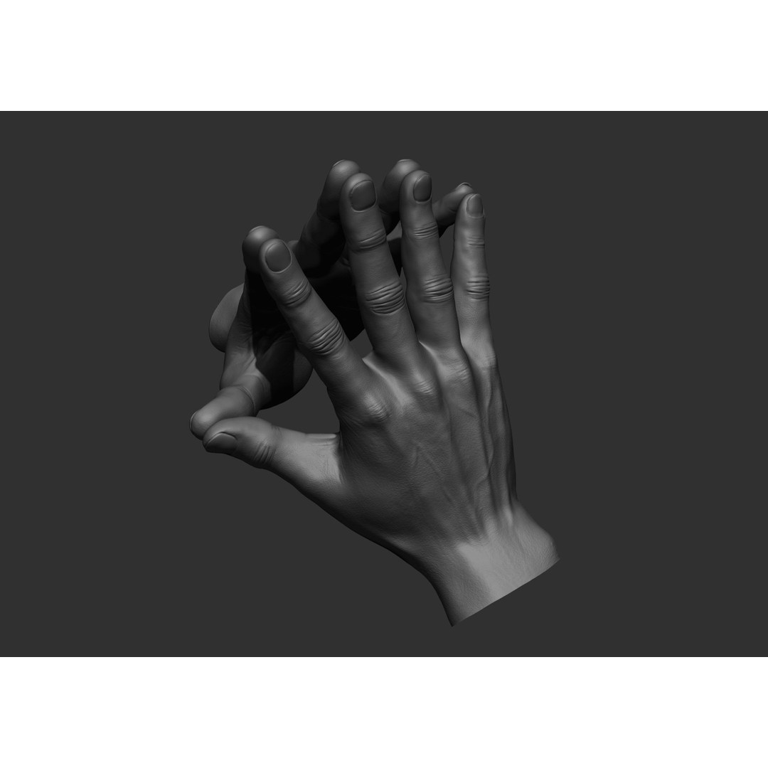 Realistic Male Hand Poses 3D Model – High Poly ZBrush Sculpt, FBX, OBJ - View 40