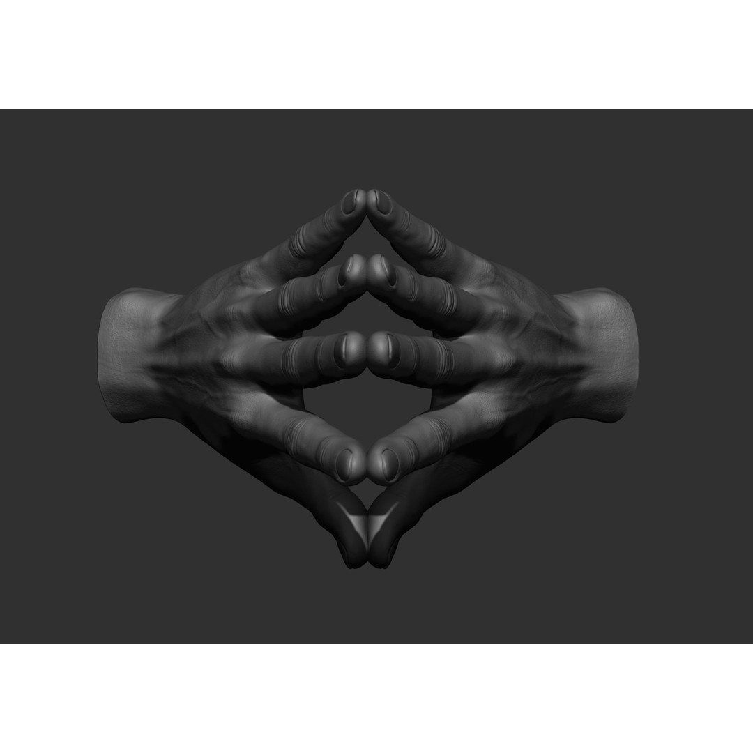 Realistic Male Hand Poses 3D Model – High Poly ZBrush Sculpt, FBX, OBJ - View 41